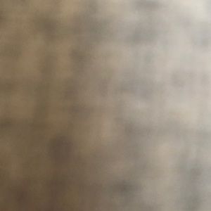 Meet your Posher, Leena